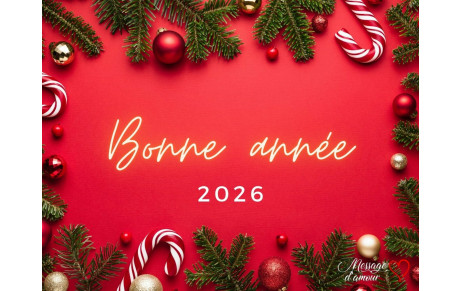 Meilleurs voeux pour 2026